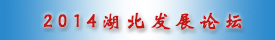 2014湖北发展论坛